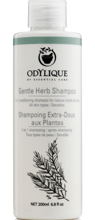 Odylique by Essential Care organiczny delikatny szampon ziołowy do wrażliwej skóry głowy bezzapachowy, 20 ml